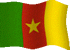flag Cameroun